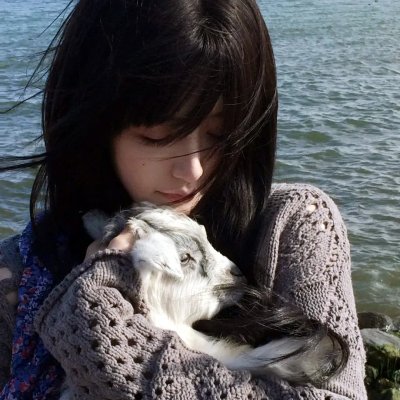 战地黄花分外香